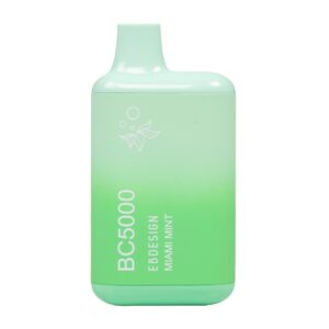 ELF BAR BC5000 Disposable Miami Mint 5000 hơi 13ml